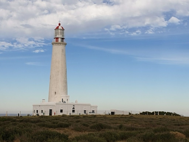 La Paloma