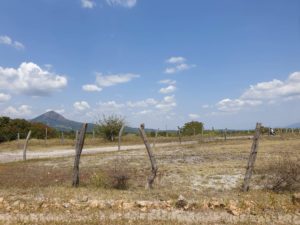 Karge Landschaft