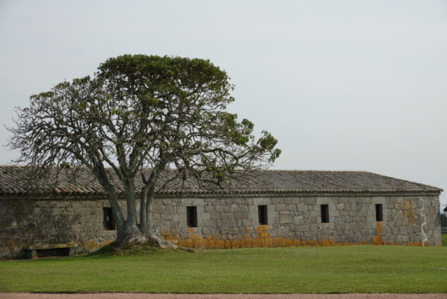 Santa Taresa