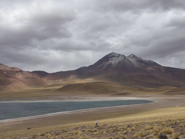 Vulkan Miñiques und Laguna Miscanti