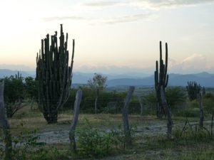 Abendstimmung in der Tatacoa